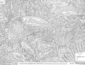 Colouring Campaign - Rainforest / Carnival / Time Square