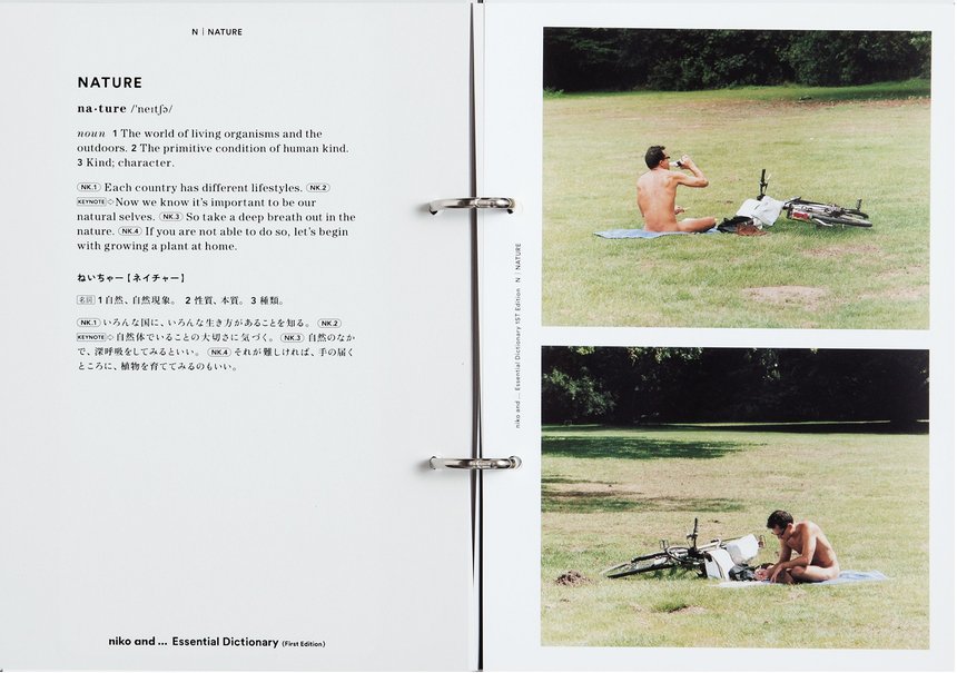 niko and… Essential Dictionary