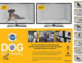 Dog Channel