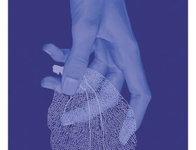 The New York Times Magazine Special Newspaper Print Sections