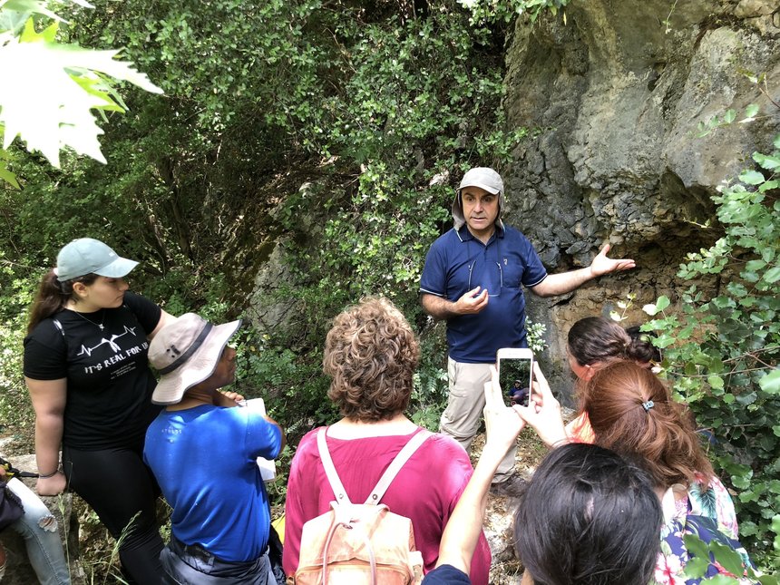 Beirut's RiverLESS Forest