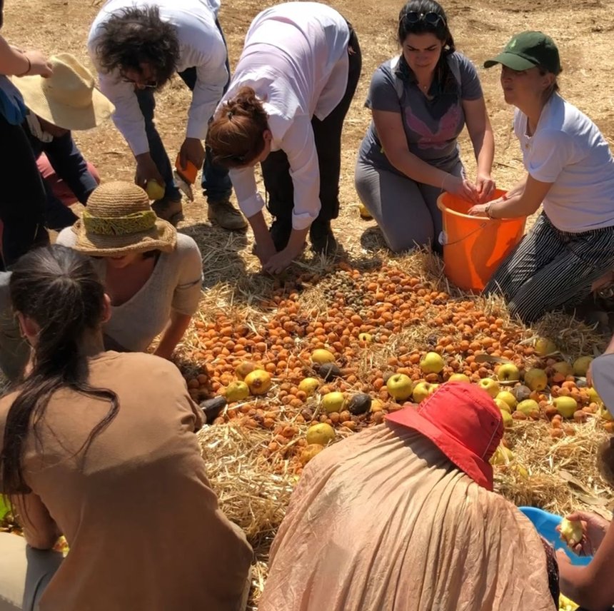 Beirut's RiverLESS Forest