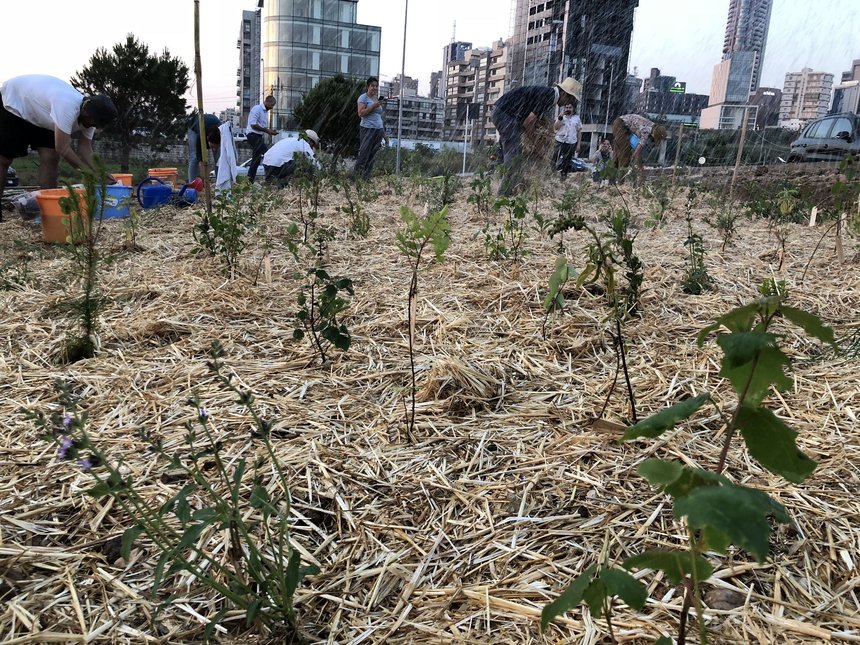 Beirut's RiverLESS Forest
