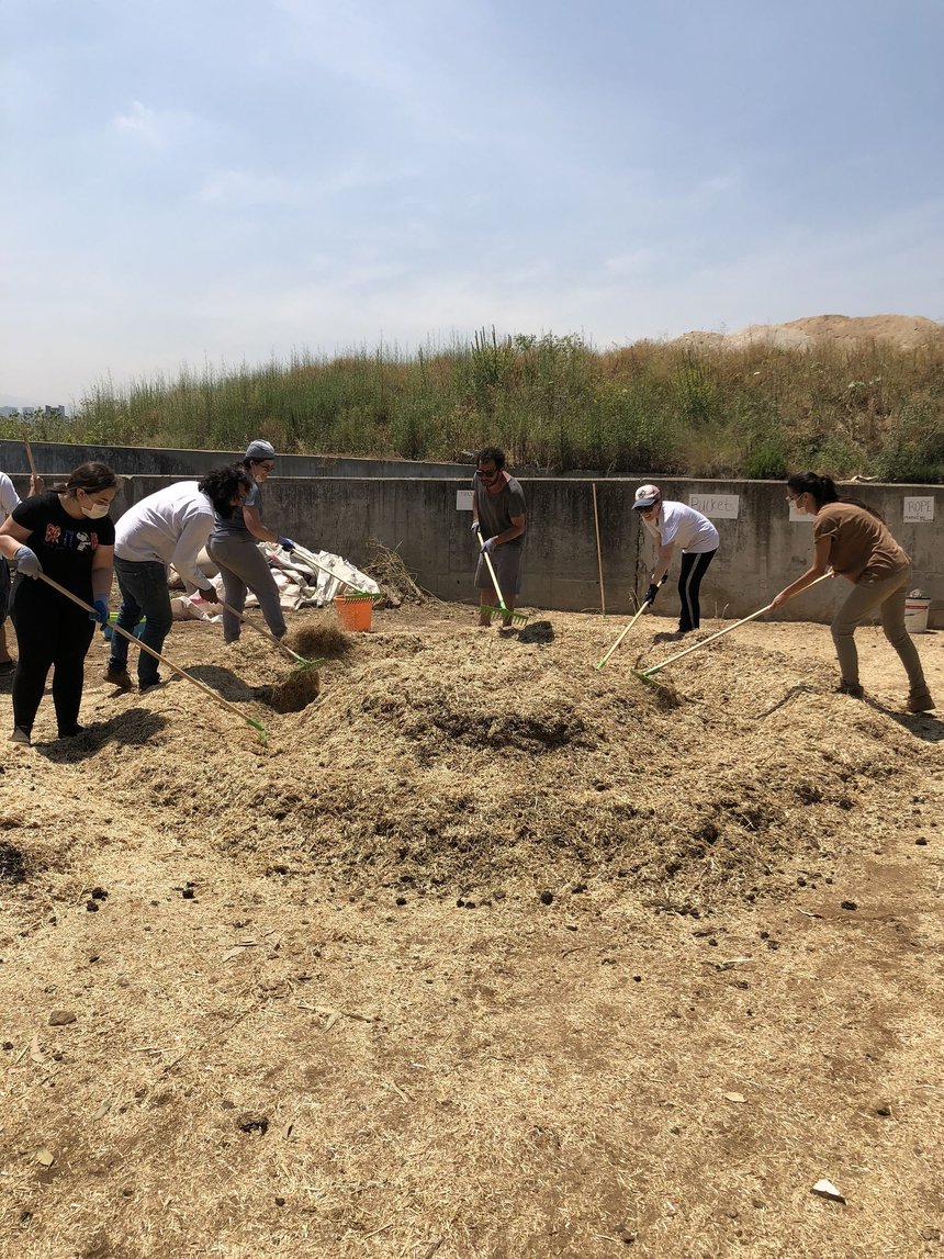 Beirut's RiverLESS Forest