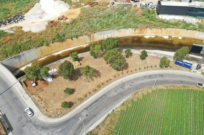 Beirut's RiverLESS Forest