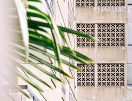 Jack Young on balancing a side project and work