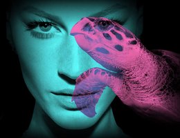 How to use creativity to address sustainability challenges