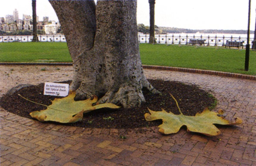 Bike Lock / Floatie / Leaves