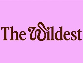 The Wildest, Brand Identity