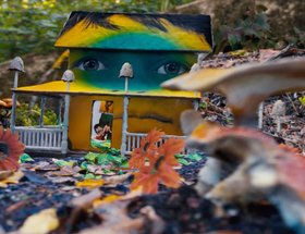 Animal Collective 'We Go Back'