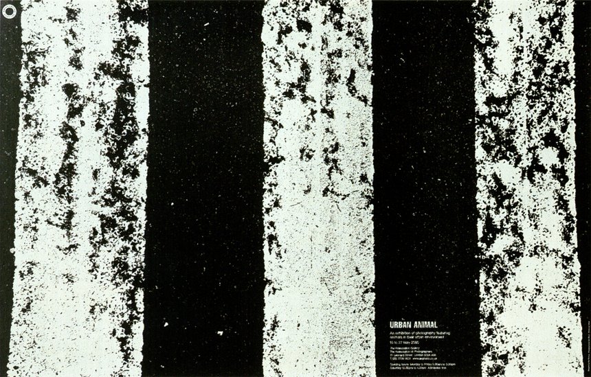 Urban Animals