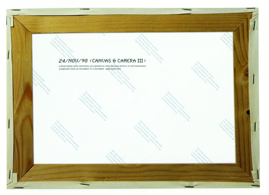 Canvas & Camera Poster