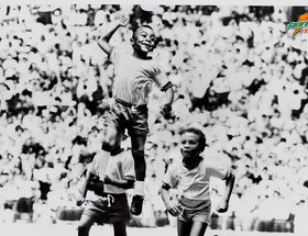 Soccer / Basketball / Boxer