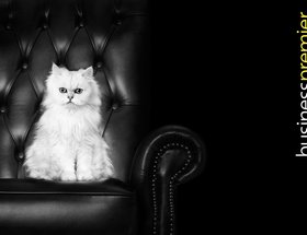 Eurostar Business Premier