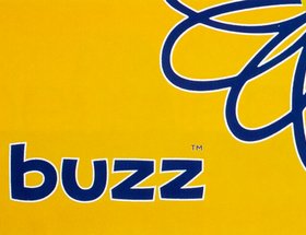 Buzz